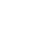 royalx_logo